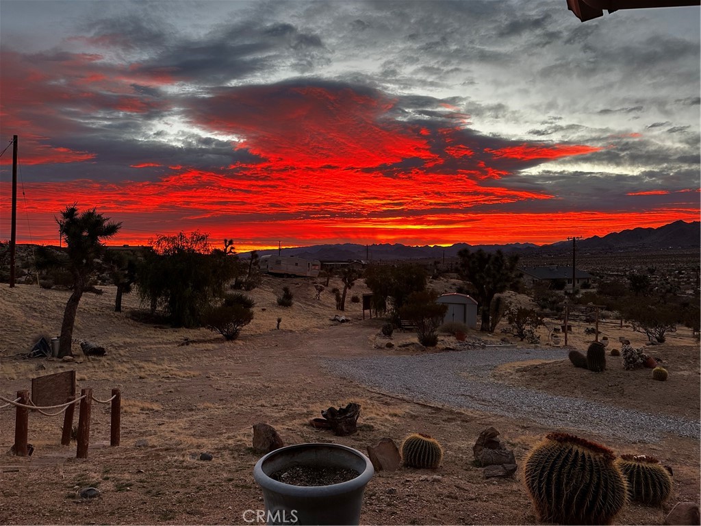 MLS #JT25225167 image #5