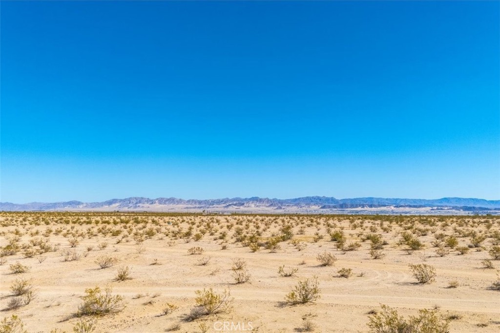 MLS #JT25225678 image #11