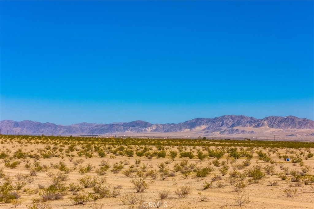 MLS #JT25225678 image #12