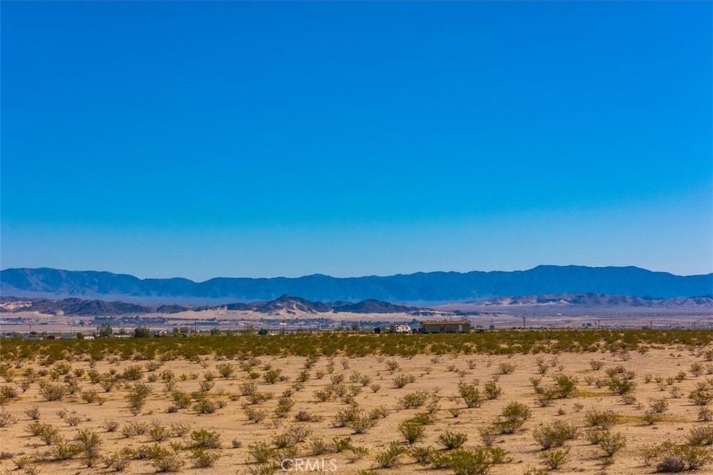 MLS #JT25225678 image #13