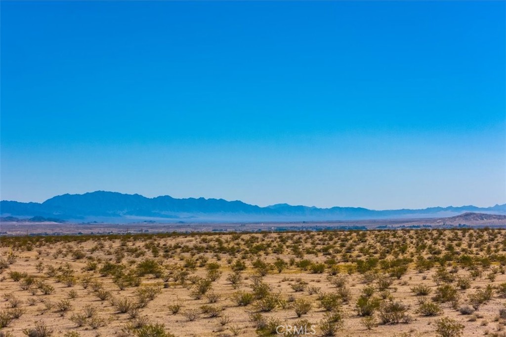 MLS #JT25225678 image #14