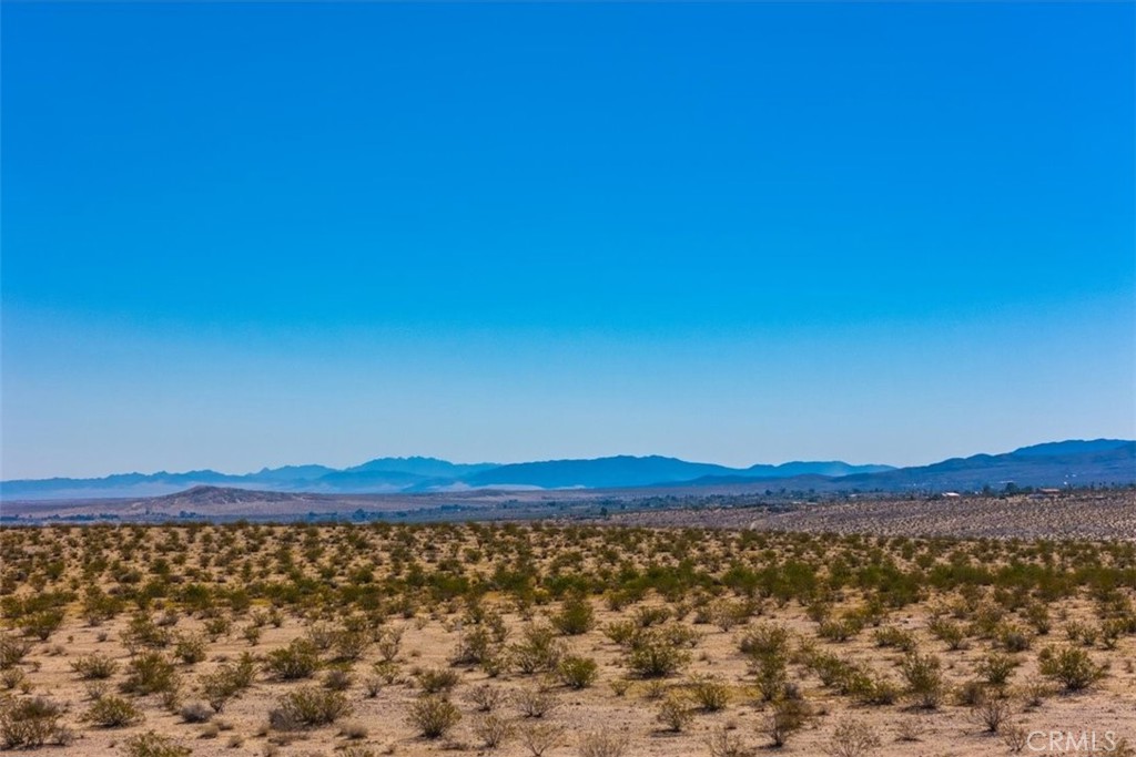 MLS #JT25225678 image #15