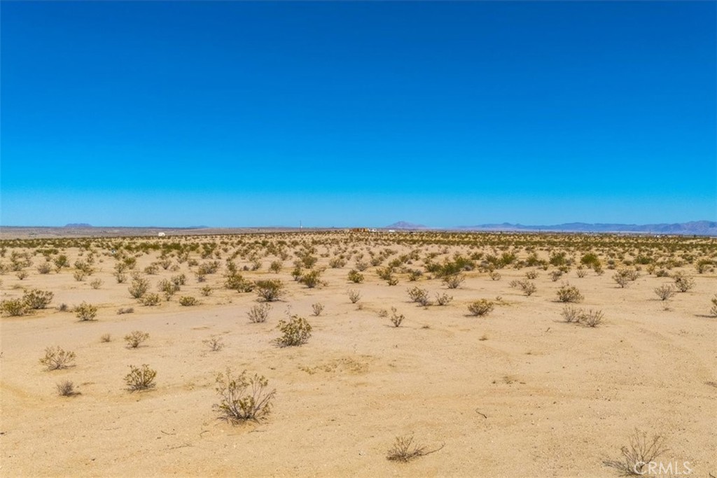 MLS #JT25225678 image #17