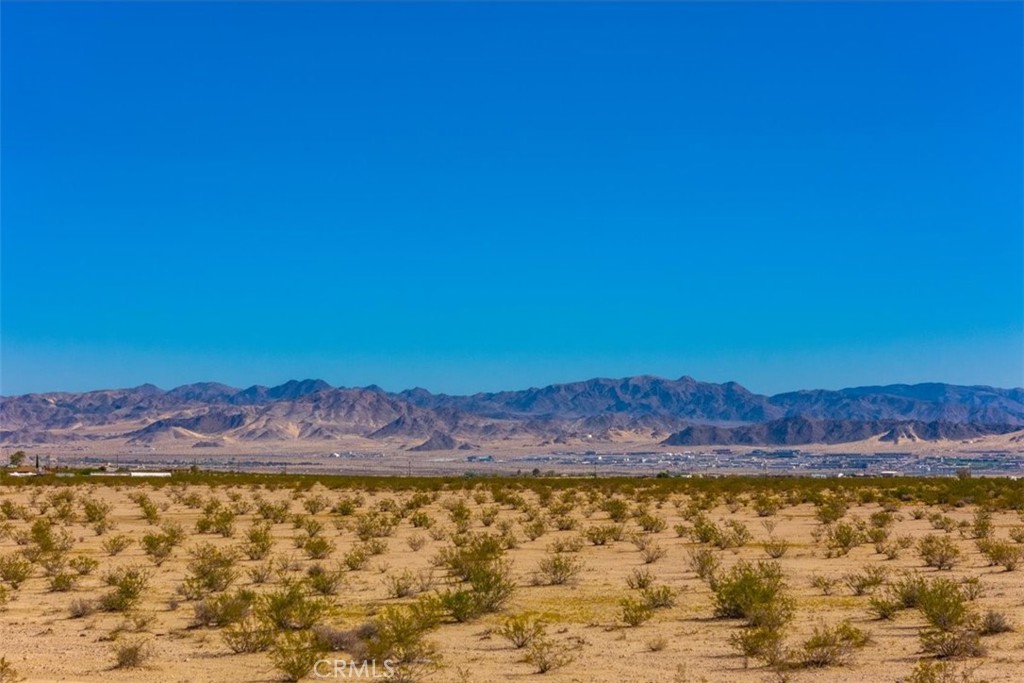 MLS #JT25225678 image #2