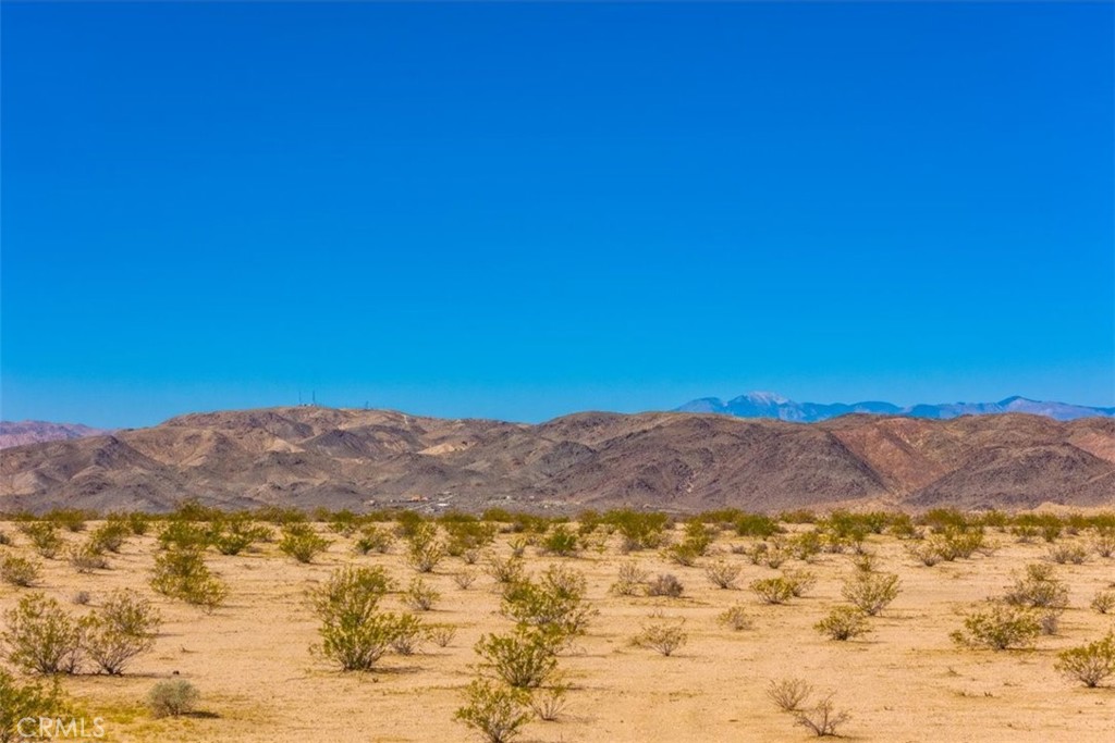 MLS #JT25225678 image #20