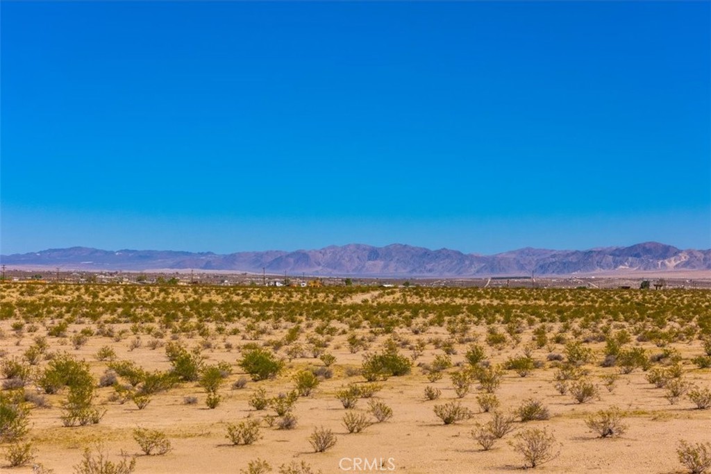 MLS #JT25225678 image #21