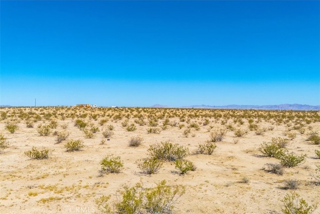 MLS #JT25225678 image #25