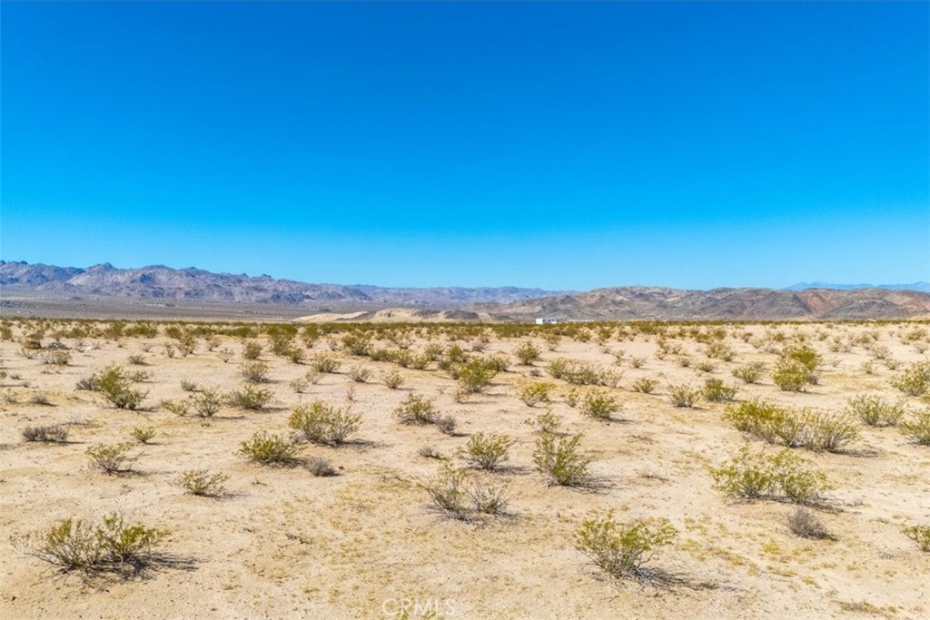 MLS #JT25225678 image #26