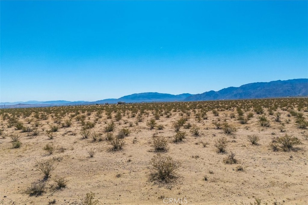 MLS #JT25225678 image #28