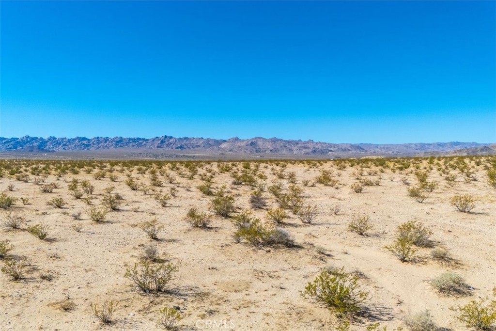 MLS #JT25225678 image #29