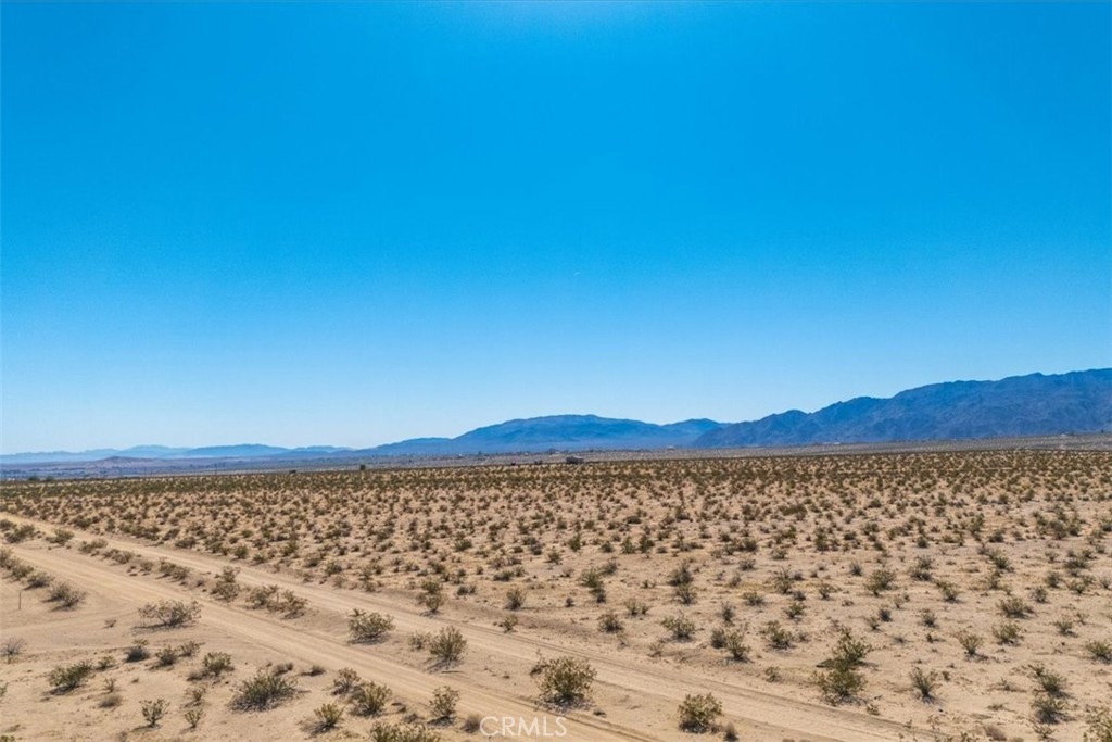 MLS #JT25225678 image #31