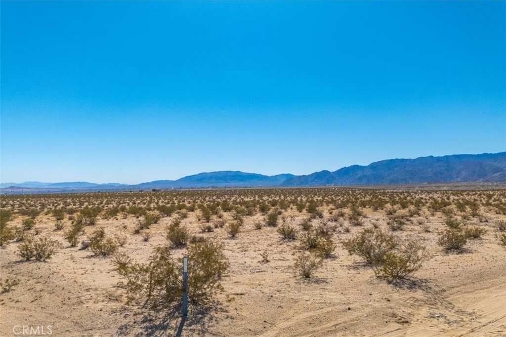 MLS #JT25225678 image #32