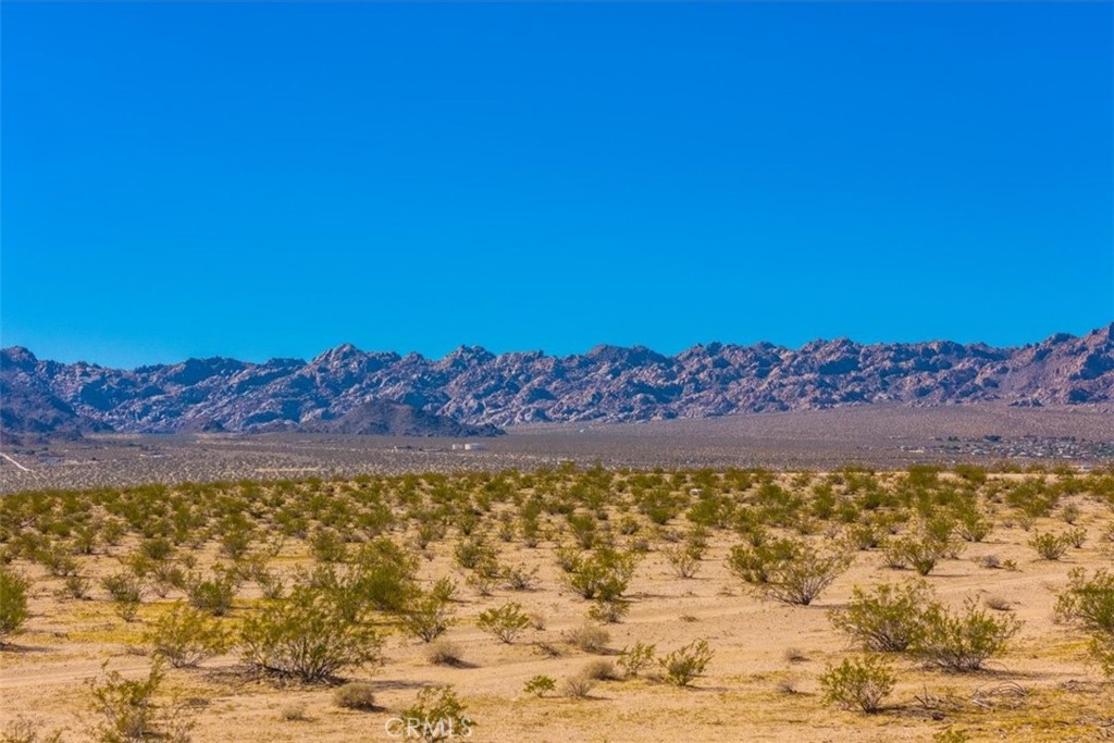 MLS #JT25225678 image #4