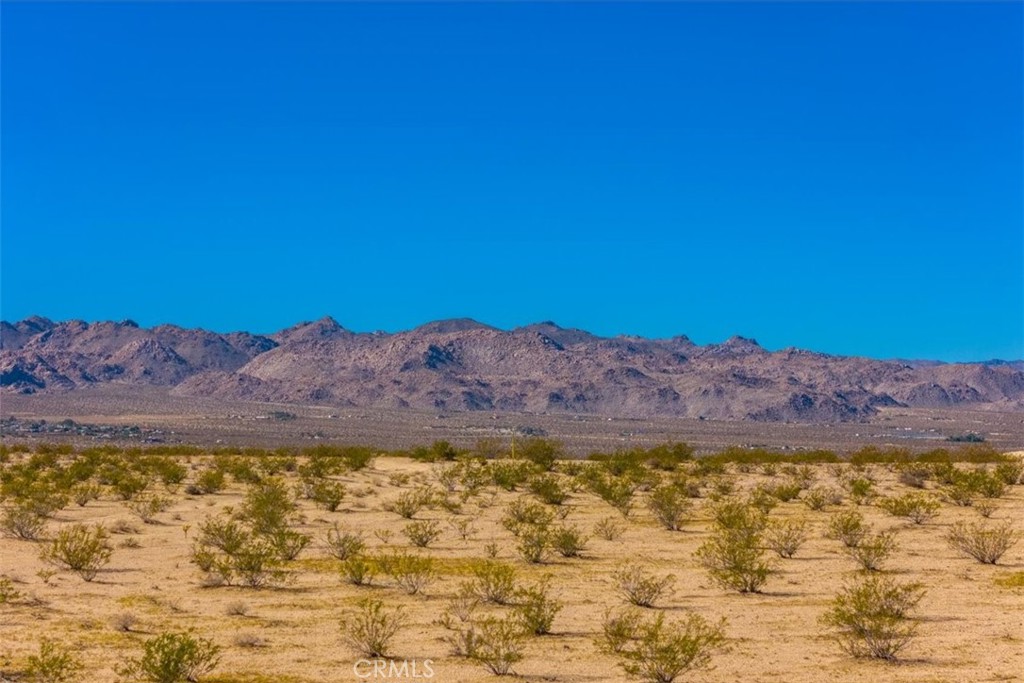 MLS #JT25225678 image #6