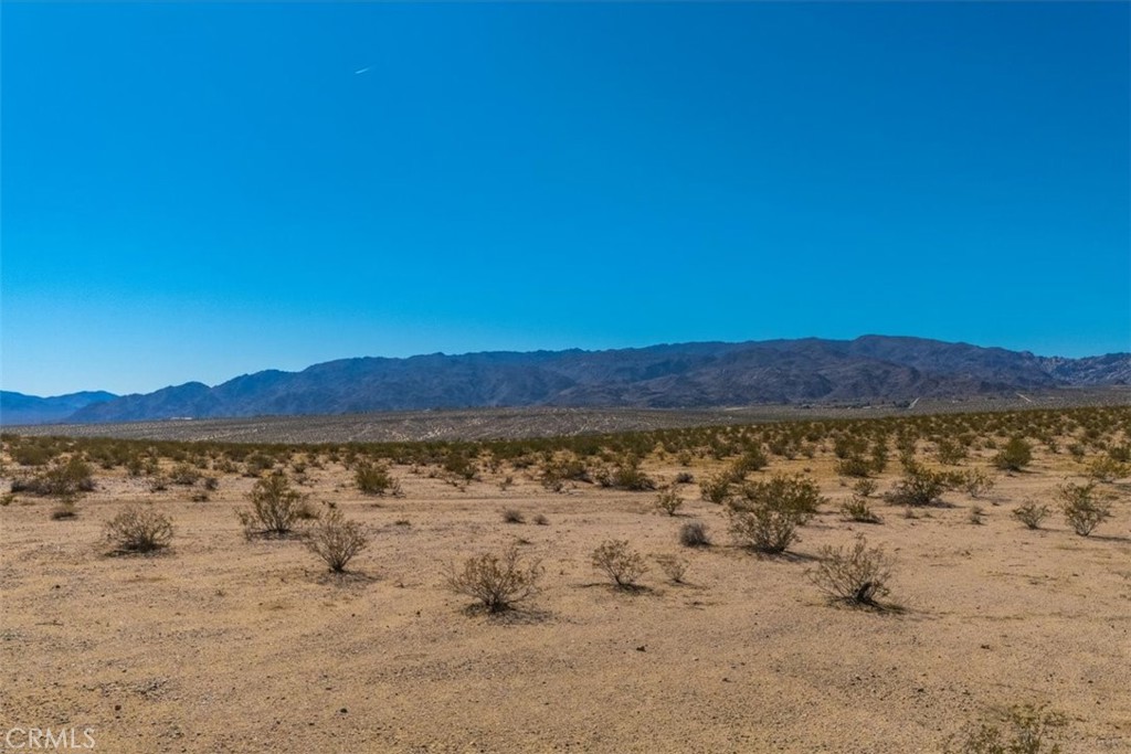 MLS #JT25225678 image #7