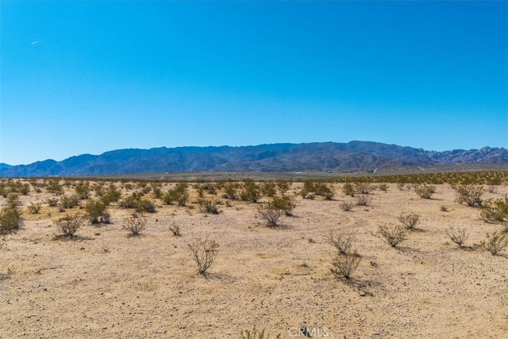 MLS #JT25225678 image #8