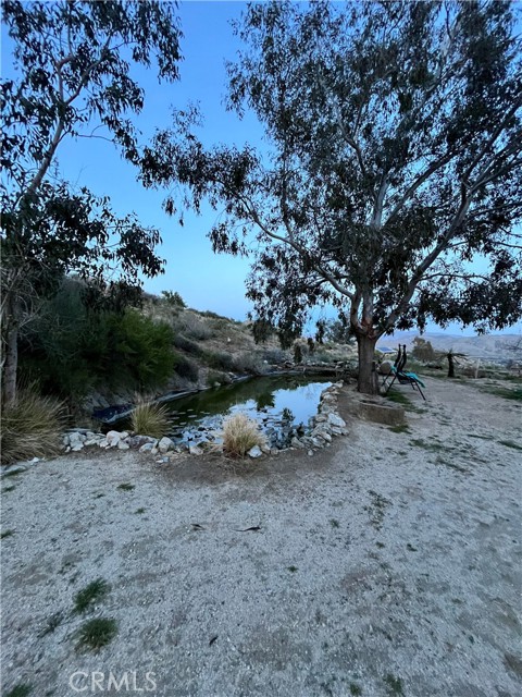 MLS #JT25226017 image #34