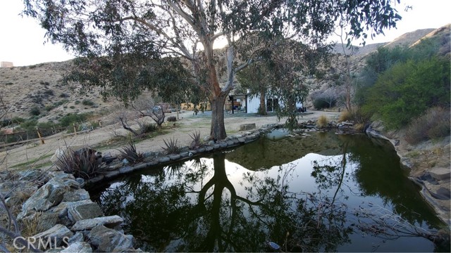 MLS #JT25226017 image #7