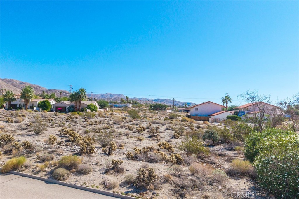 MLS #JT25226459 image #10