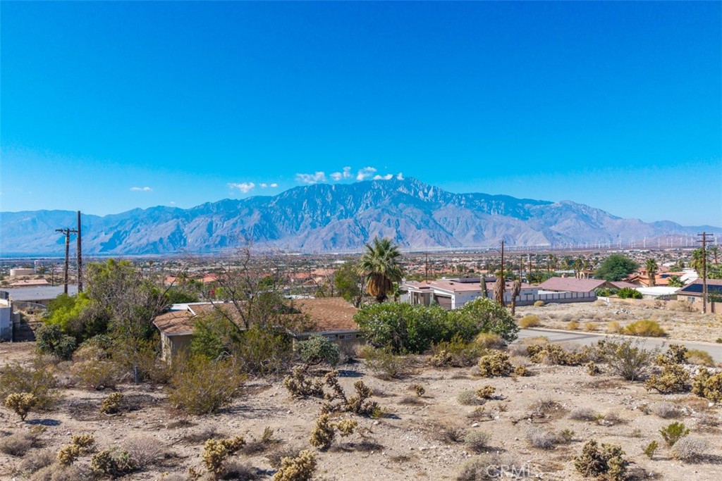 MLS #JT25226459 image #12