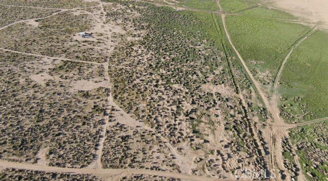 MLS #JT25226943 image #10