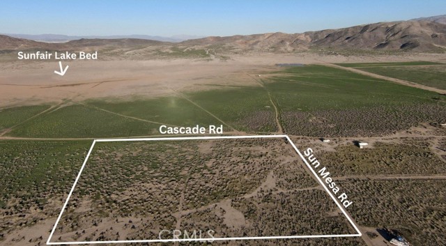 MLS #JT25226943 image #4