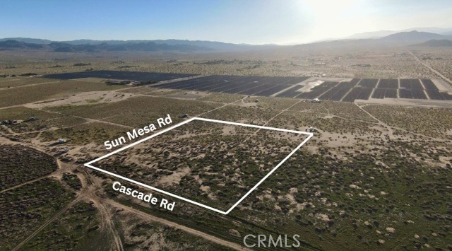 MLS #JT25226943 image #5