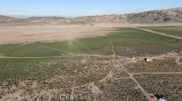 MLS #JT25226943 image #7