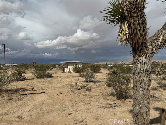 MLS #JT25227307 image #19