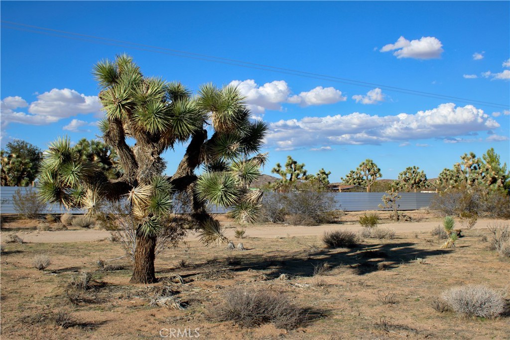 MLS #JT25228432 image #12