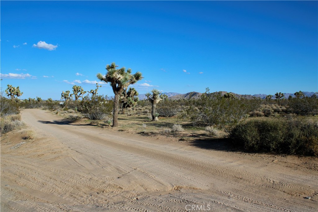 MLS #JT25228432 image #13