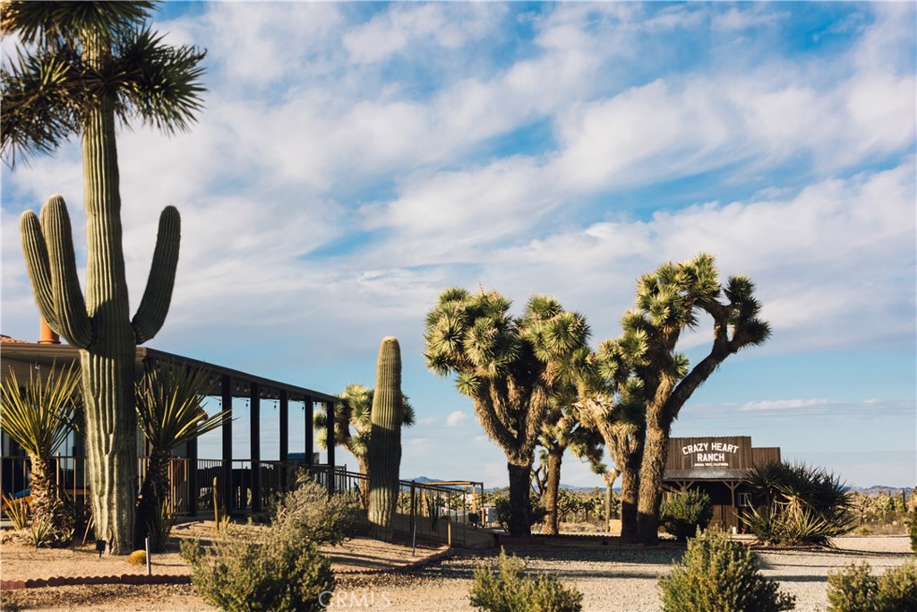 MLS #JT25228943 image #11