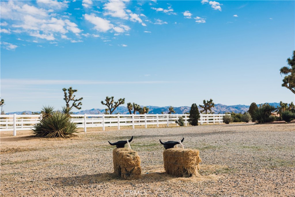 MLS #JT25228943 image #24