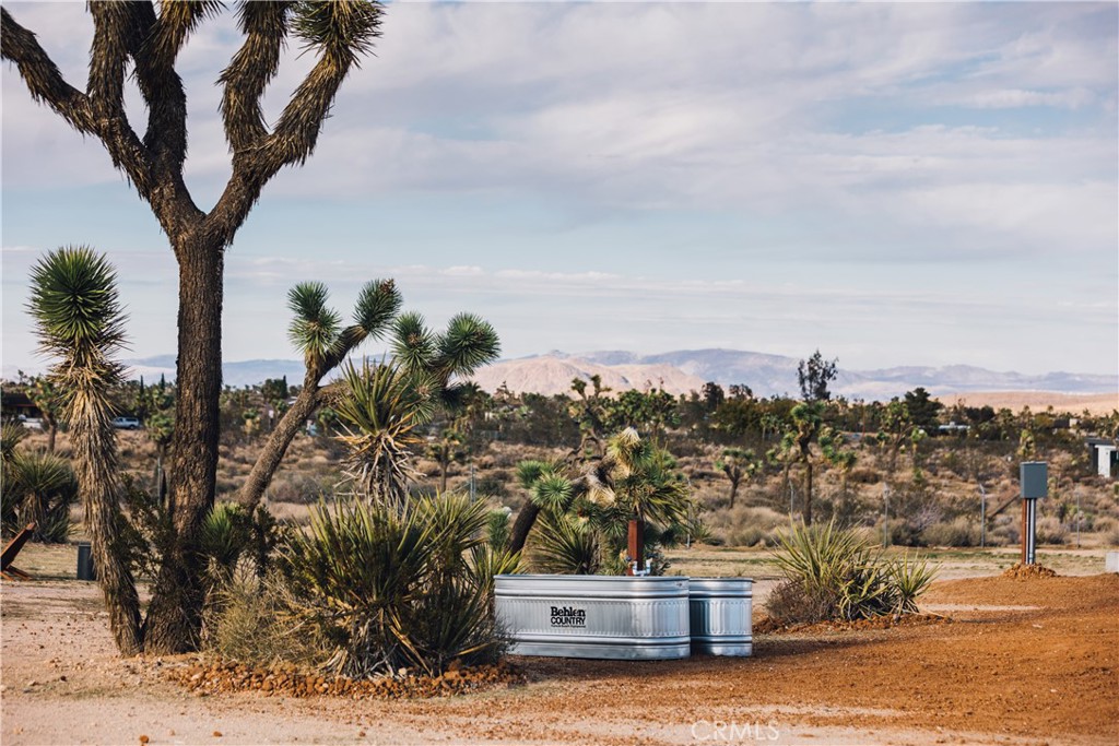 MLS #JT25228943 image #26