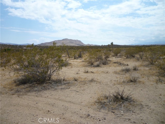 MLS #JT25229232 image #1