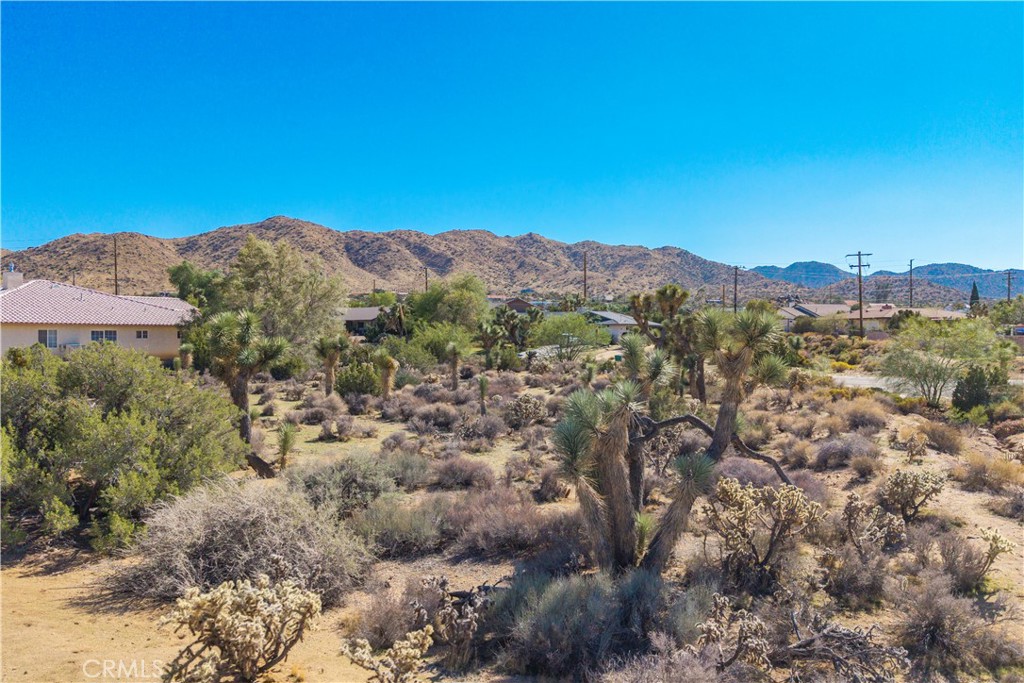 MLS #JT25230036 image #10