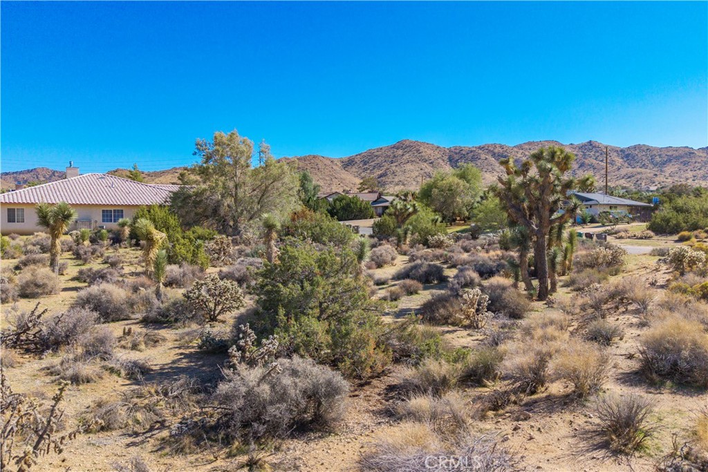 MLS #JT25230036 image #11