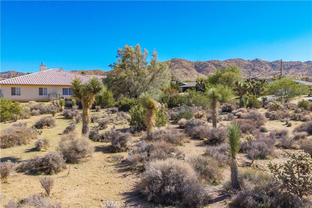 MLS #JT25230036 image #13