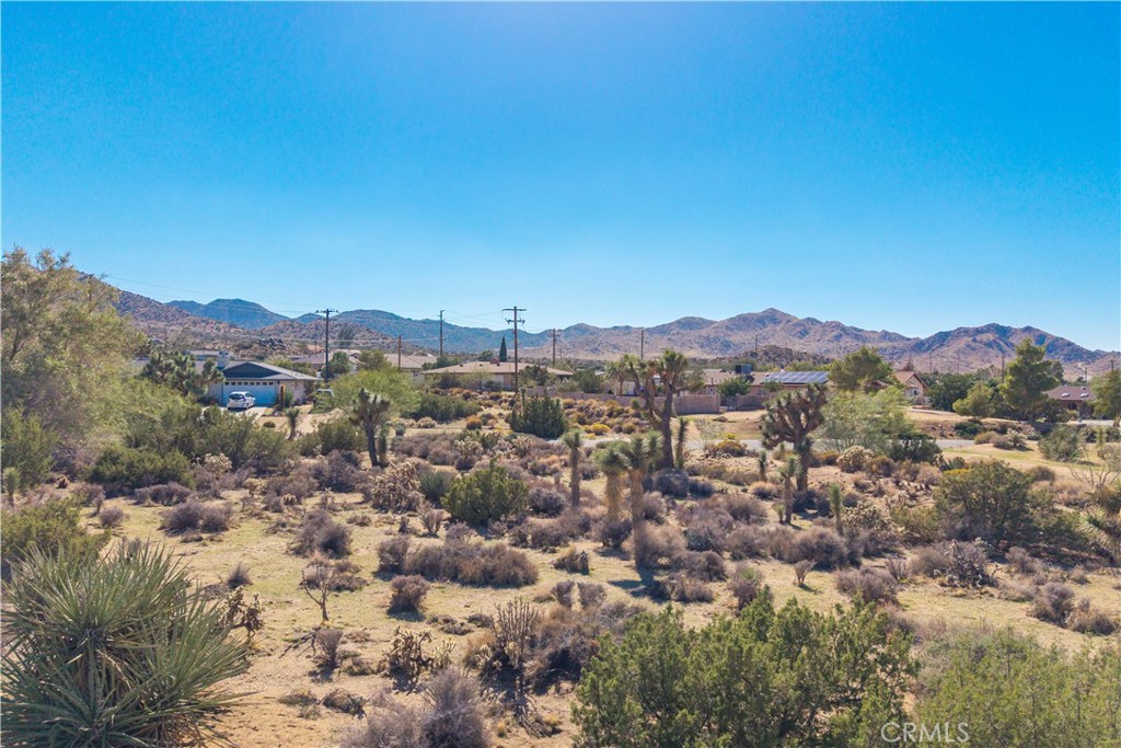 MLS #JT25230036 image #5