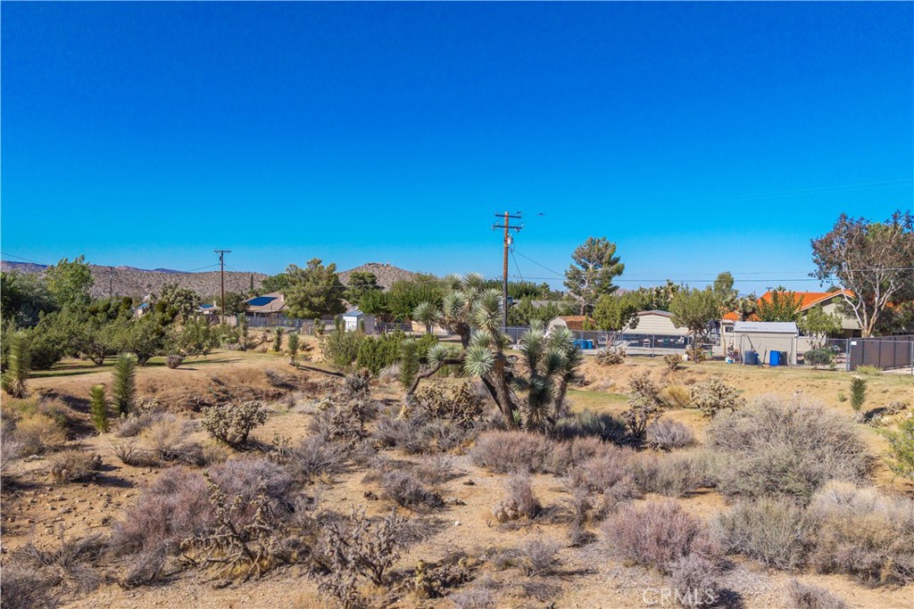 MLS #JT25230036 image #8