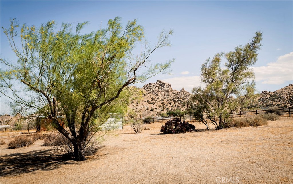 MLS #JT25230553 image #34