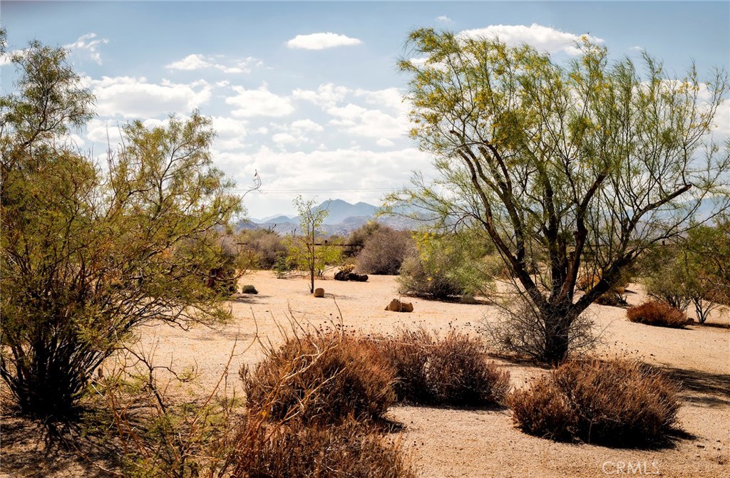 MLS #JT25230553 image #40