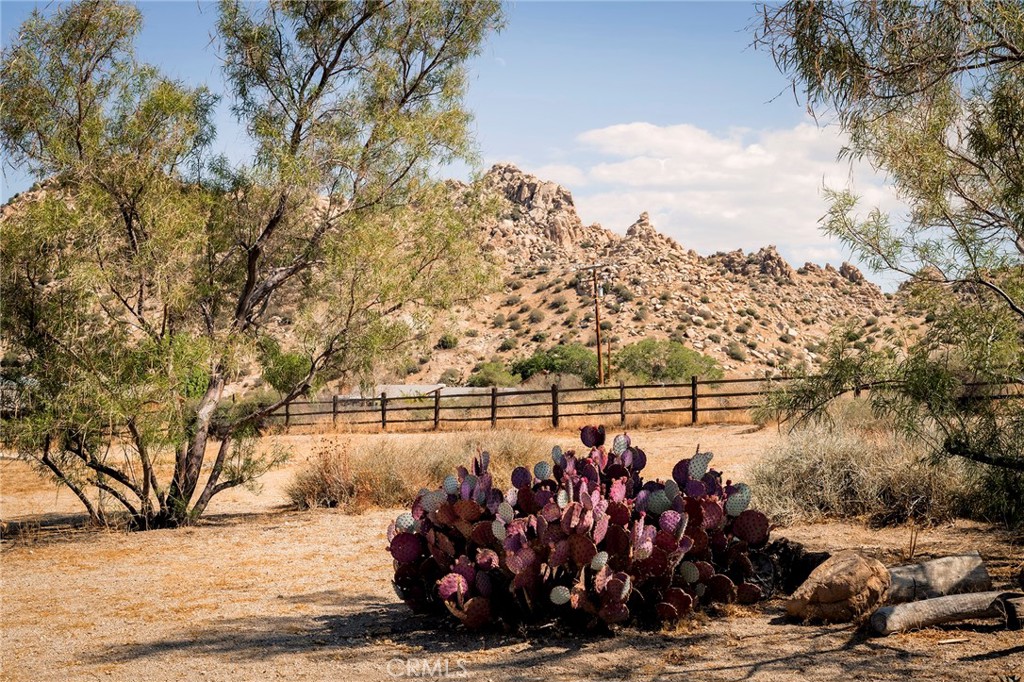 MLS #JT25230553 image #47