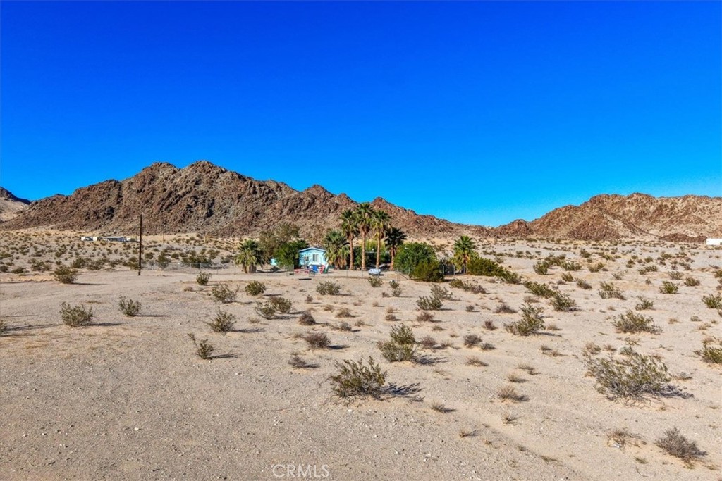 MLS #JT25230625 image #43