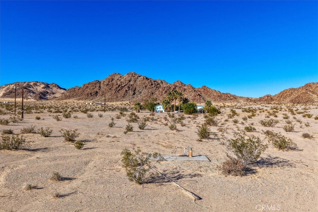 MLS #JT25230625 image #44