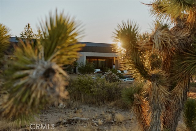 MLS #JT25231744 image #25