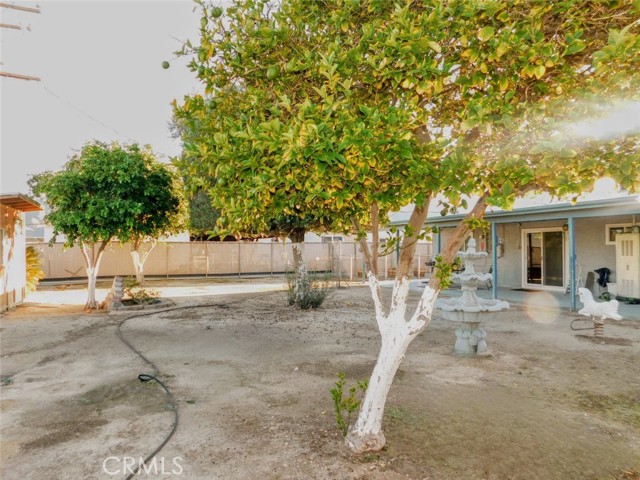 MLS #JT25232035 image #18