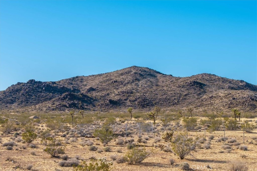 MLS #JT25232258 image #10