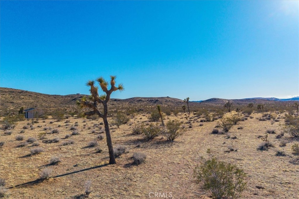 MLS #JT25232258 image #11