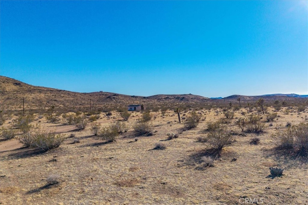 MLS #JT25232258 image #13